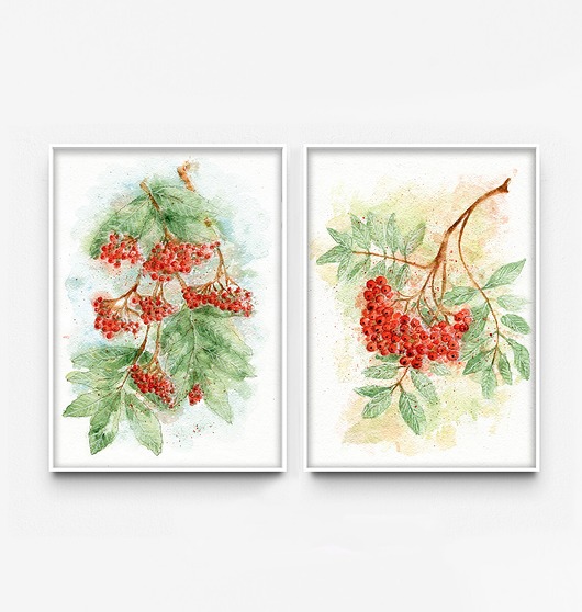 grafiki i ilustracje Zestaw 2 prac. Jarzębiny