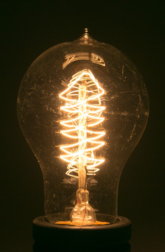 Żarówka loft vintage Edison Bulb 40W (D1610401) Home Design