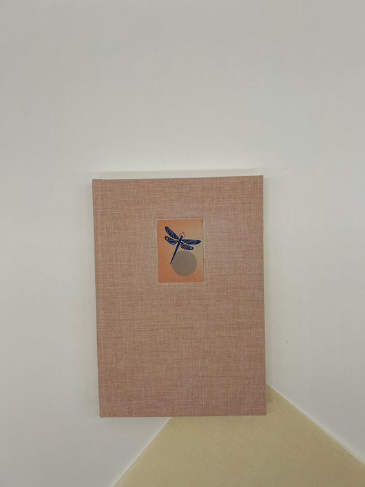 notatniki i albumy Notes Ważka (brudny róż)