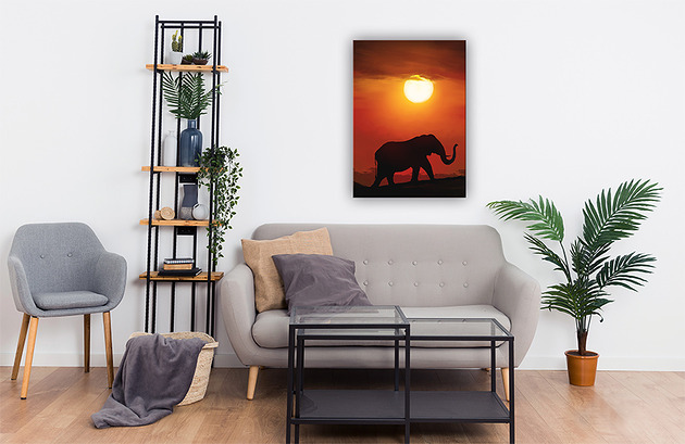 obrazy Obraz - Afryka 2 - wydruk na płótnie