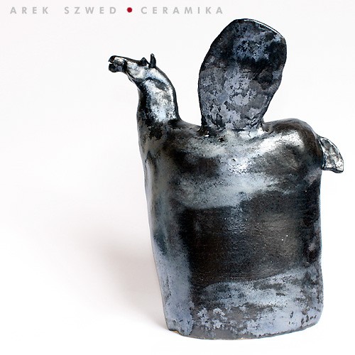 czarny pegaz 2.2 Arek Szwed
