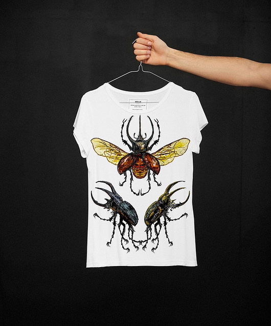 Chalcosoma t-shirt - SELVA SELVA