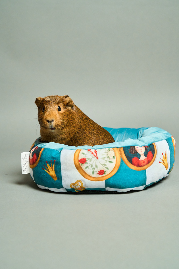 legowiska dla psów i kotów Legowisko oponka