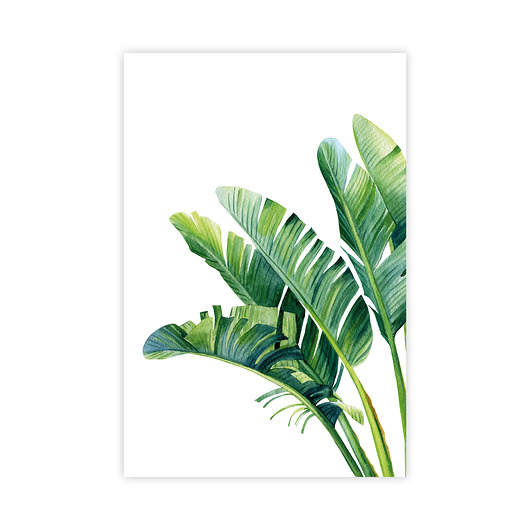 plakaty Plakat Zielone Liście Bananowca