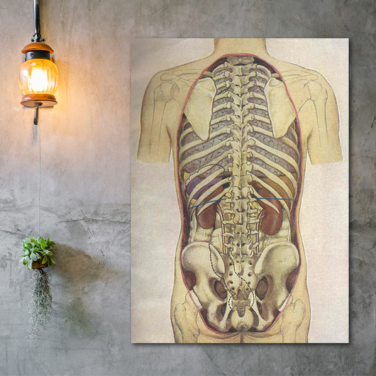 Anatomia - DEKORACJA ŚCIENNA Dekoracje PATKA Patrycja Kita