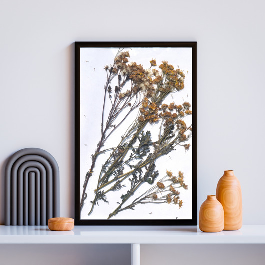 obrazy Obraz z kolekcji "Kwiaty polne"