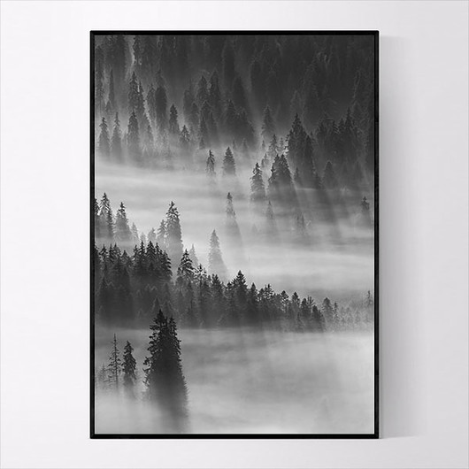 Plakat FOREST BLACK 50x70 cm  MUKKO