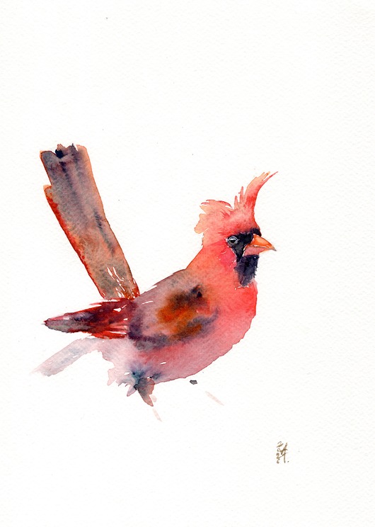 obrazy Oryginalna akwarela. Kardynał