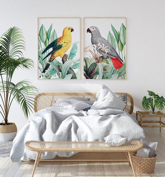 Papugi - zestaw plakatów HOG STUDIO