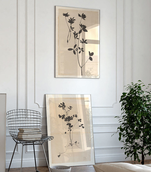 grafiki i ilustracje Plants  50x70 cm