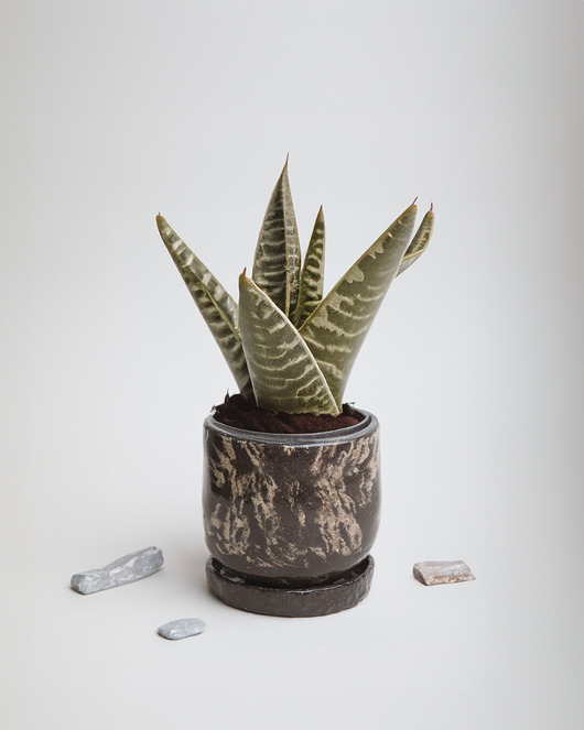 doniczki Ceramiczna doniczka z podstawką