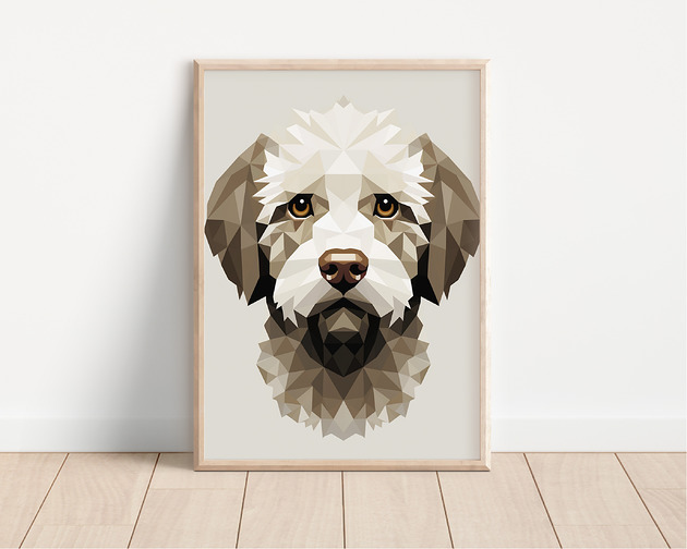 plakaty Plakat lagotto romagnolo