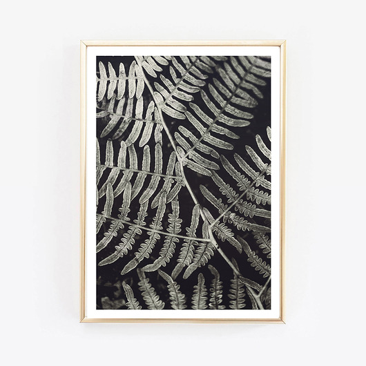 rustical Flower, kwiat fotografia wejustlikeprints
