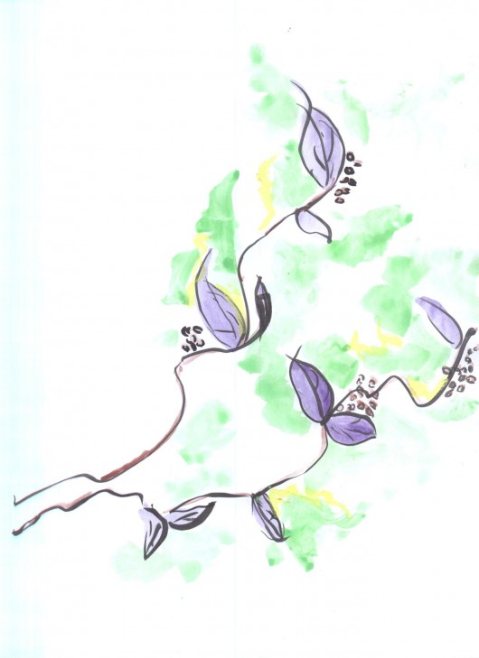 z cyklu haiku i sumi-e XLVII kos16