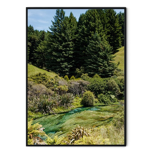 Plakat Nowa Zelandia Blue Spring no. 1 myscandi