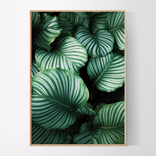 Plakat GREENERY MUKKO