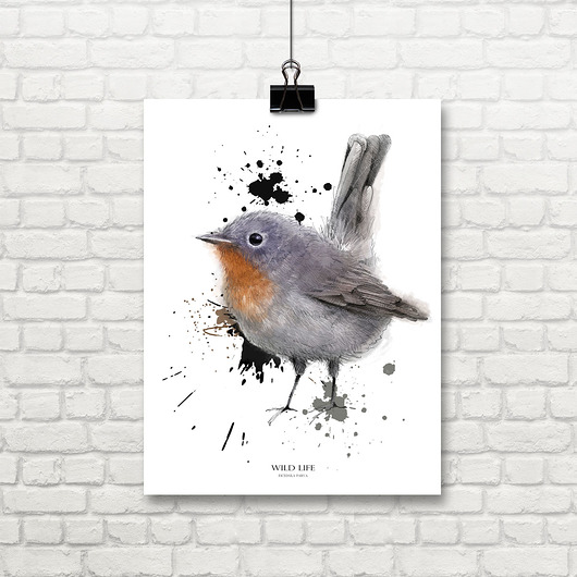 grafiki i ilustracje grafika z serii  WILD LIFE, muchołówka