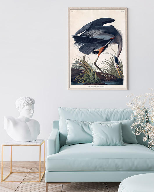 plakaty Plakat vintage 'Czapla modra'
