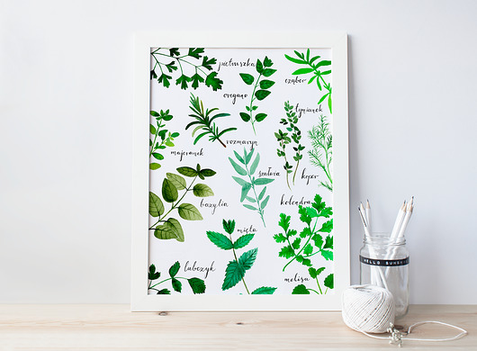 Plakat botaniczny do kuchni "Zioła" format A4 Jakie Słodkie