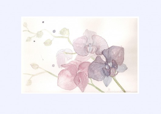 orchidea salonowa Madame&Rose
