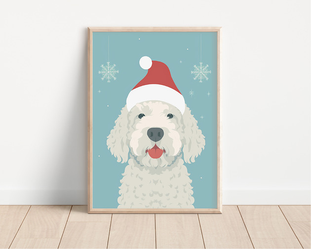 plakaty Plakat lagotto romagnolo