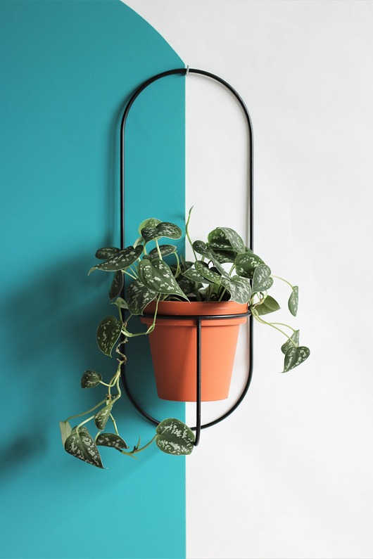 kwietniki KWIETNIK NAŚCIENNY GEO No7 MINI