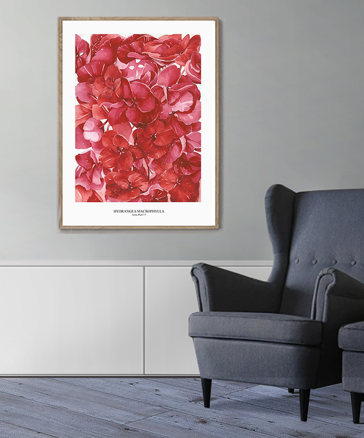 Plakat botaniczny Hortensje czerwone ceci bloom