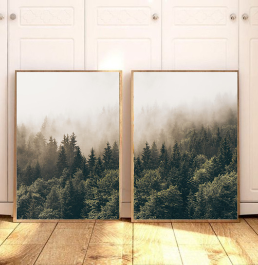 plakaty PLAKATY las zielony zdjęcie lasu we mgle zestaw 2