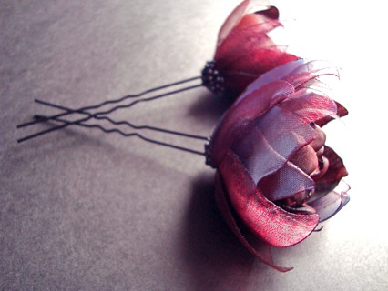 ŚLIWKA WĘGIERKA_KOKÓWKI SundayRose