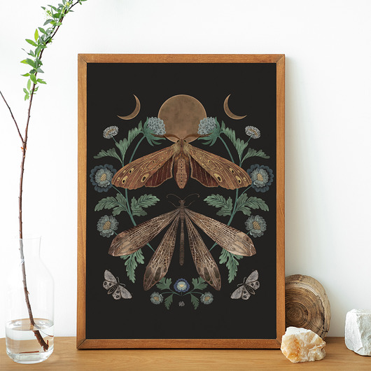 grafiki i ilustracje Ćmy i księżyc, ćmy plakat, plakat botaniczny, księżyc plakat