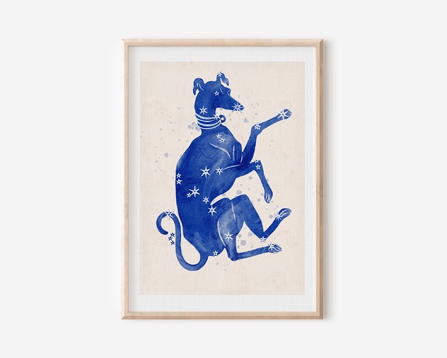 plakaty Plakat  - Konstelacja Wielki Pies - CANIS  Major