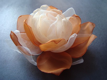 MOREL__ZAMÓWIENIE SundayRose