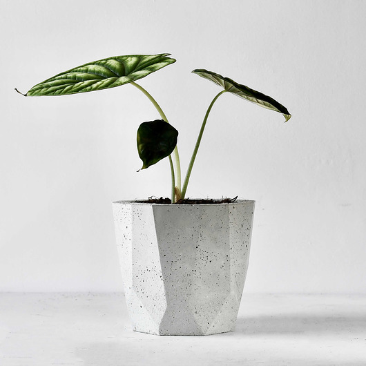 Doniczka B-Geo 14 White Betonove