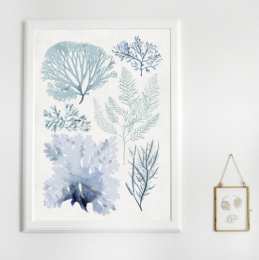 Grafika | A4 Anita Tomala