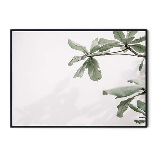 Plakat skandynawski botaniczny Listki myscandi