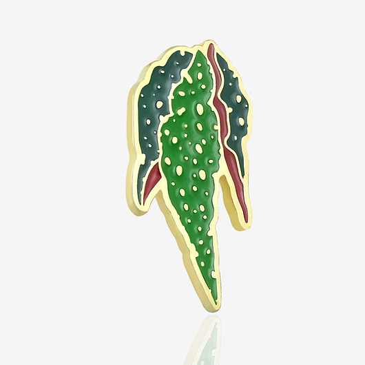 przypinki Pins Begonia maculata