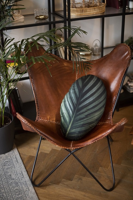 poduszki z grafiką Poduszka Liść Calathea