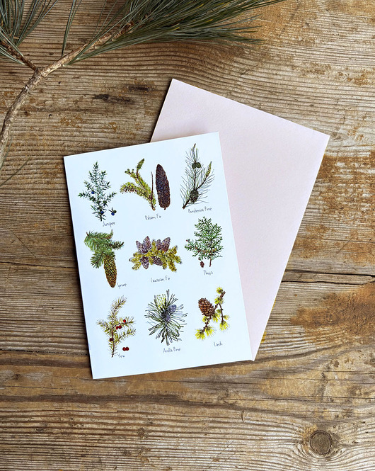 kartki okolicznościowe - wydruki Iglaki- Kartka- ilustracja- las