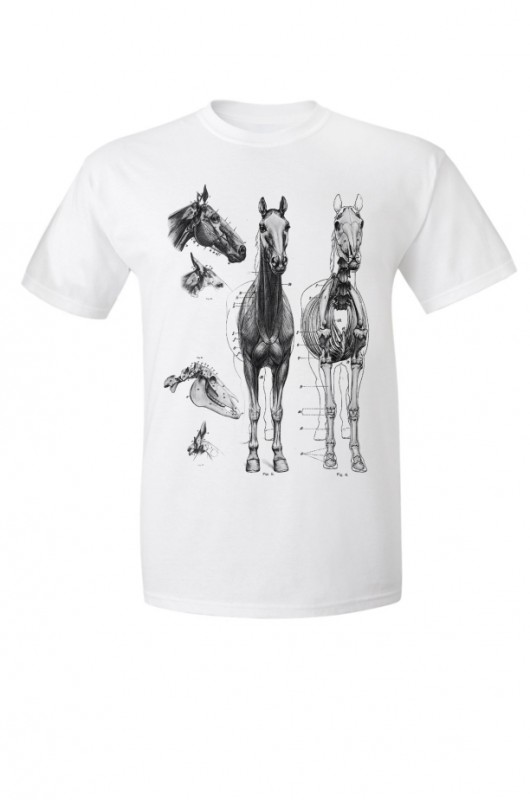 HORSE - Koszulka Męska T-shirt GAU great as You