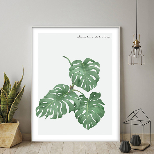 Plakat MONSTERA muybien