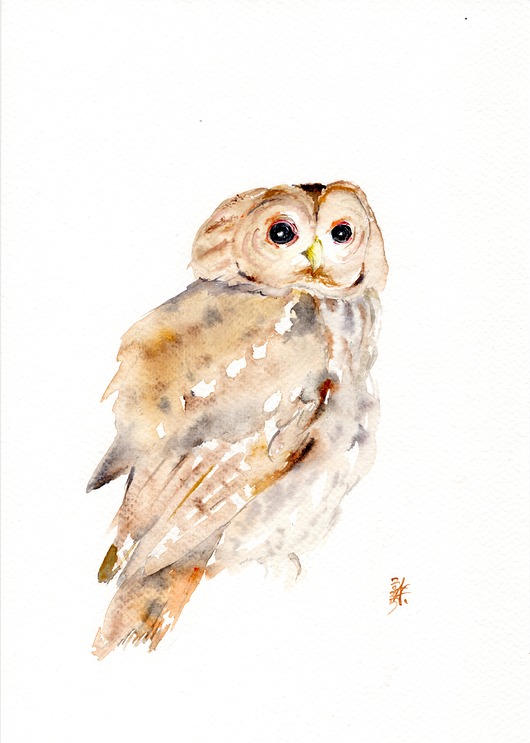 obrazy Oryginalna akwarela. Sowa