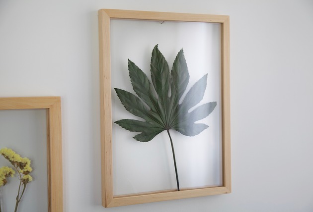 inne Żywy obraz liść Aralii rozmiar L