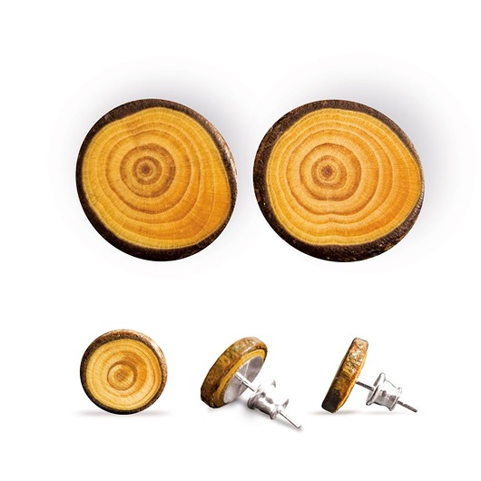 Drewniane kolczyki sztyfty / bardzo leśne MyPieceOfWood