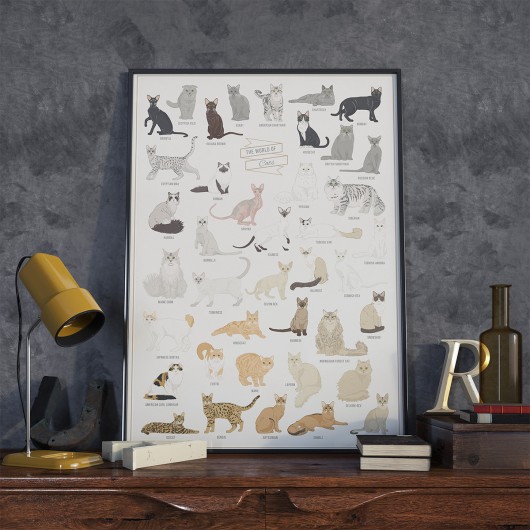 Plakat „The Worlds of Cats” Follygraph