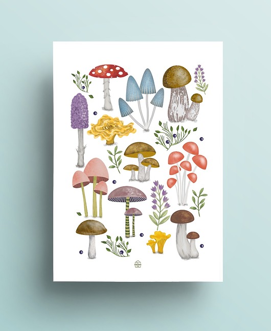 plakaty Plakat Grzyby