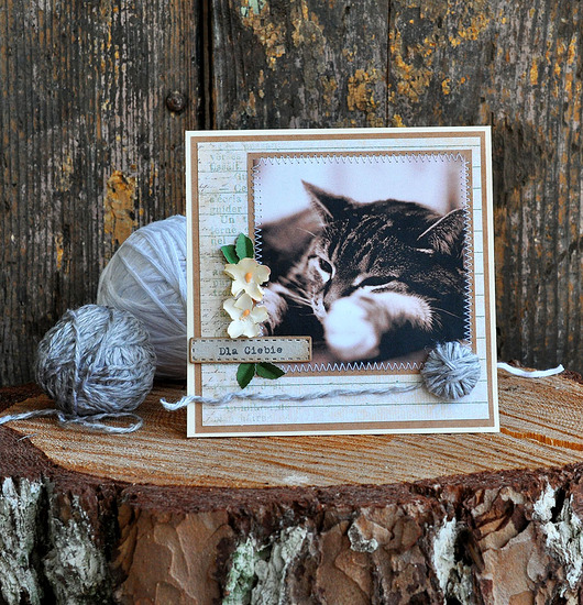 kartki scrapbooking Kartka z kotem
