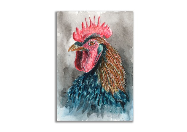 grafiki i ilustracje Akwarela ręcznie malowana "Kogut"