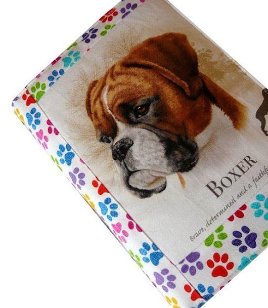 notatniki i albumy Notatnik z Pupilem