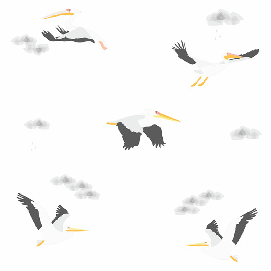 obrazy i plakaty do pokoju dziecięcego Tapeta  dla dzieci Szare Pelikany (Grey Pelican)
