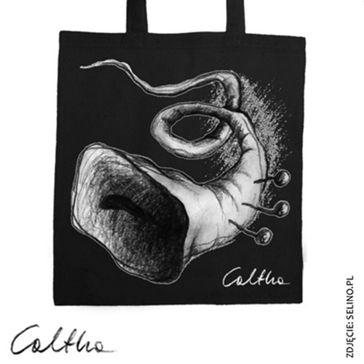 zzz Caltha